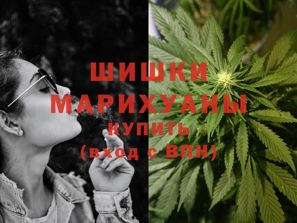 ГАЛЛЮЦИНОГЕННЫЕ ГРИБЫ Баксан