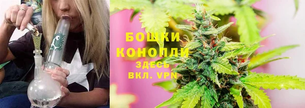 ГАЛЛЮЦИНОГЕННЫЕ ГРИБЫ Баксан