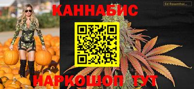 гашик Новокубанск